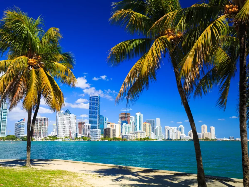 Miami tennis