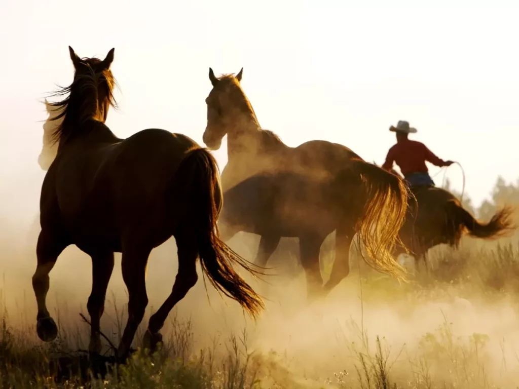 Dude ranch: un’esperienza unica nel cuore del West americano 7 cavalli dude ranch