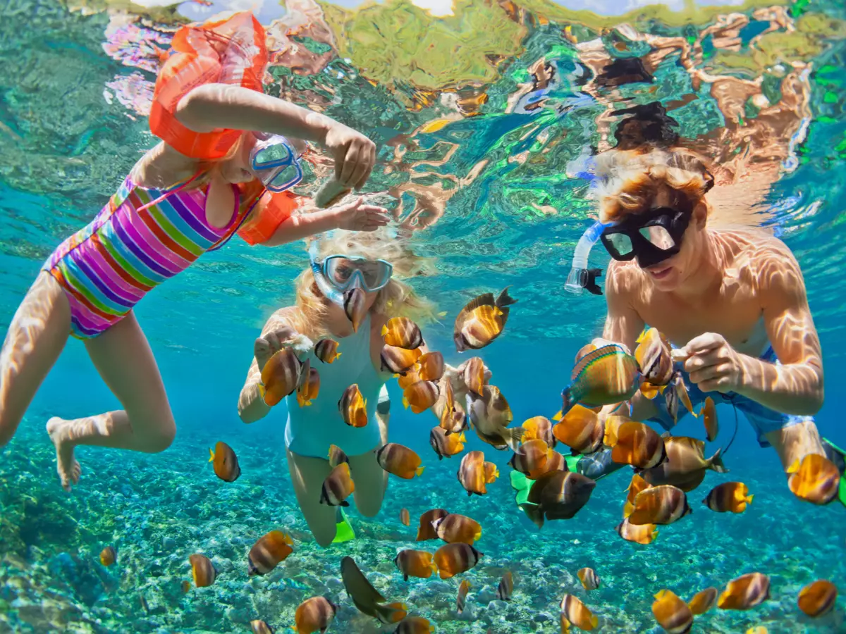Bahamas: tutto quello che devi sapere prima di partire 5 snorkeling bahamas