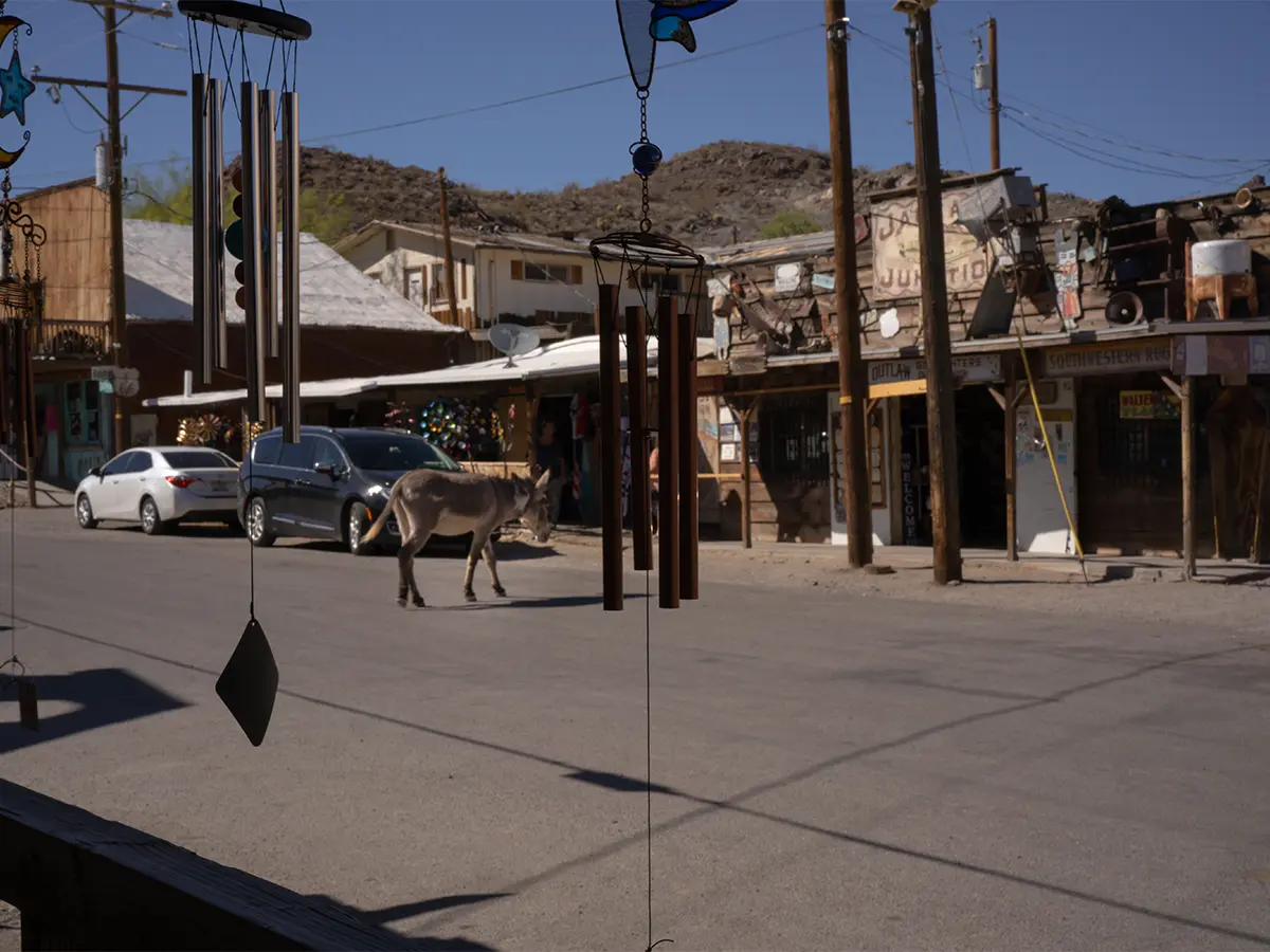 Route 66: il mito americano in 8 stati e 4000 km 31 oatman route 66