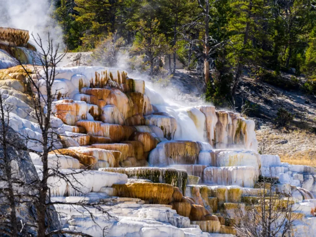 Cosa fare e vedere nel famoso parco di Yellowstone 8 Mammoth Hot Springs yellowstone