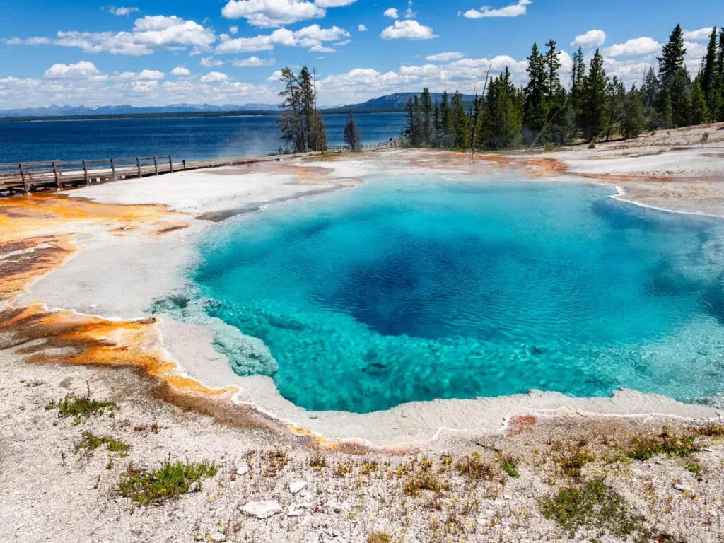 Cosa fare e vedere nel famoso parco di Yellowstone 7 west thumb basin yellowstone