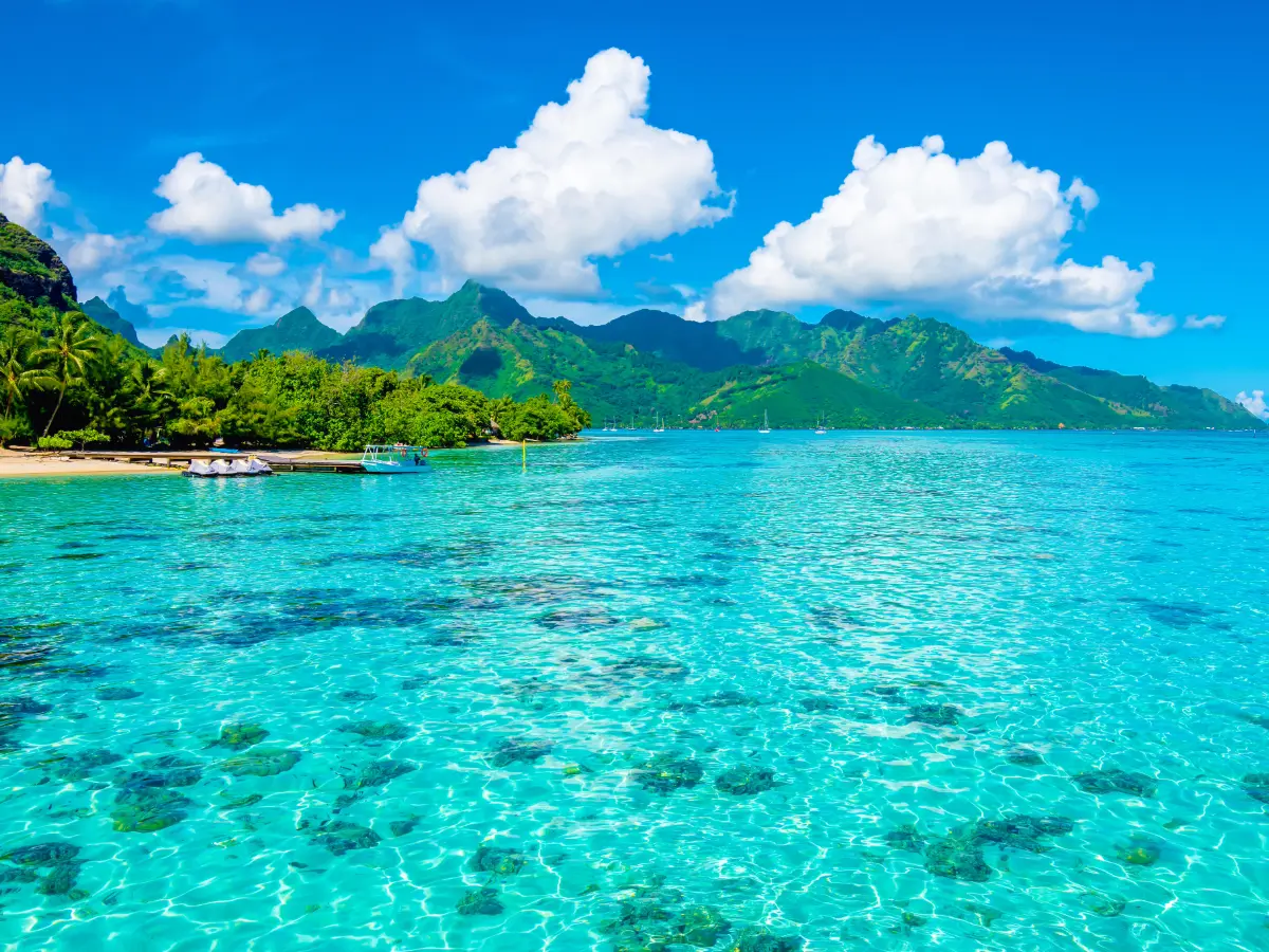 Polinesia Francese 4 Viaggio a MOOREA polinesia francese