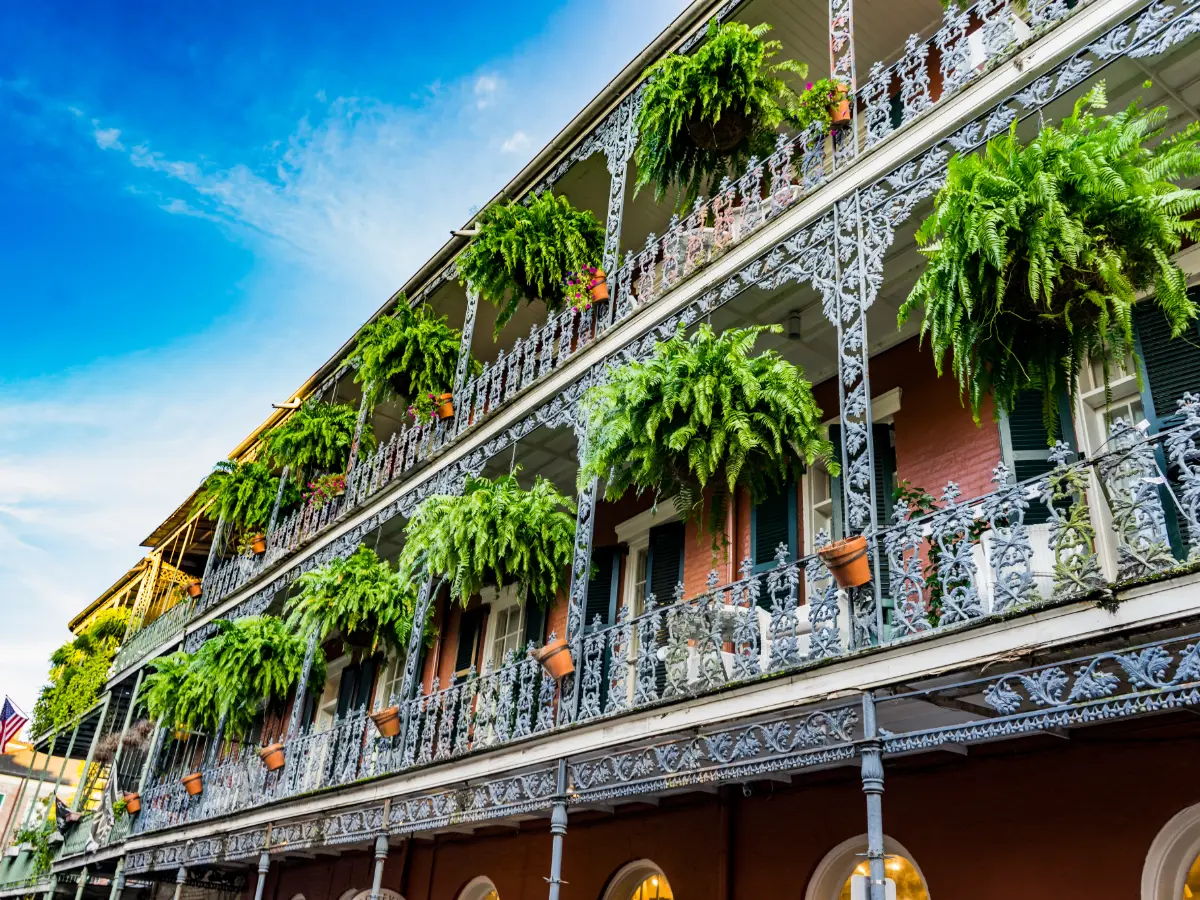 Sud & Texas 4 cosa vedere new orleans
