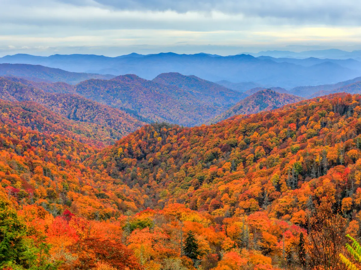 Parchi Nazionali Americani 6 great smoky mountains