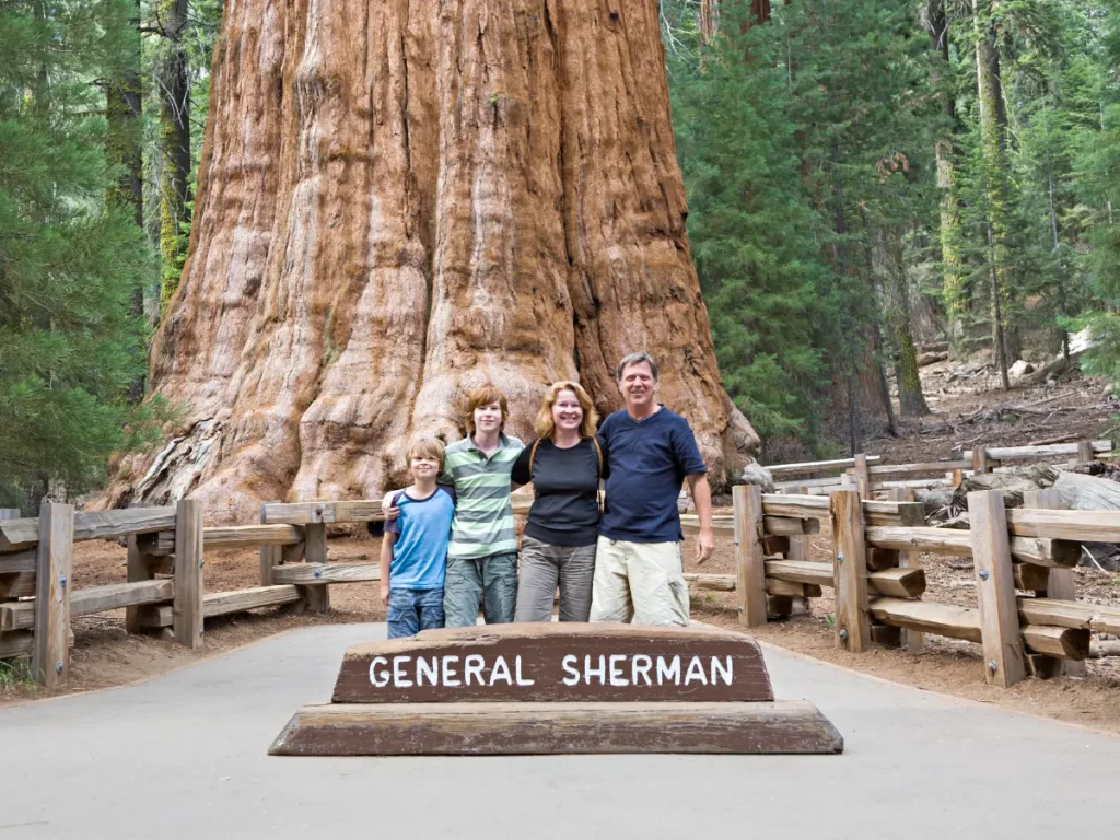 Parchi nazionali in California: Yosemite, Sequoia e tanto altro 5 parchi nazionali in california - general sherman