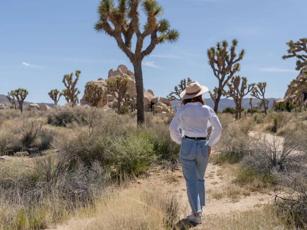 Parchi nazionali in California: Yosemite, Sequoia e tanto altro 6 parchi nazionali in california - joshua tree