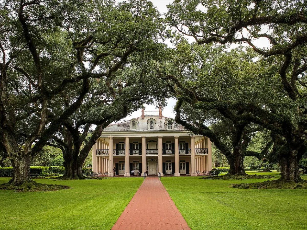 Cosa vedere a New Orleans: le migliori attrazioni e esperienze 25 new orleans piantagioni di cotone