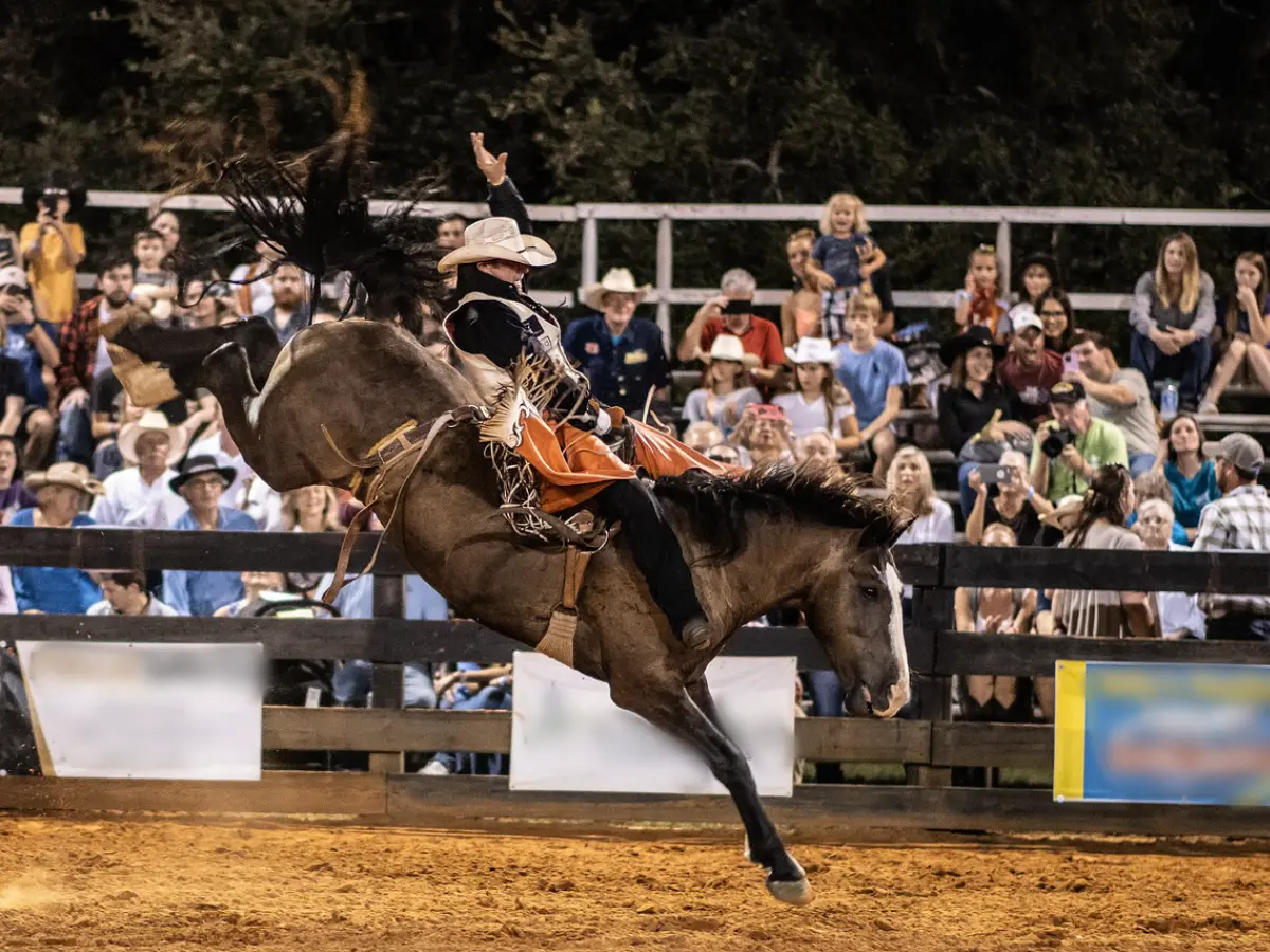 Cowboy, rodei e musica country: il cuore pulsante del Texas 9 texas rodeo