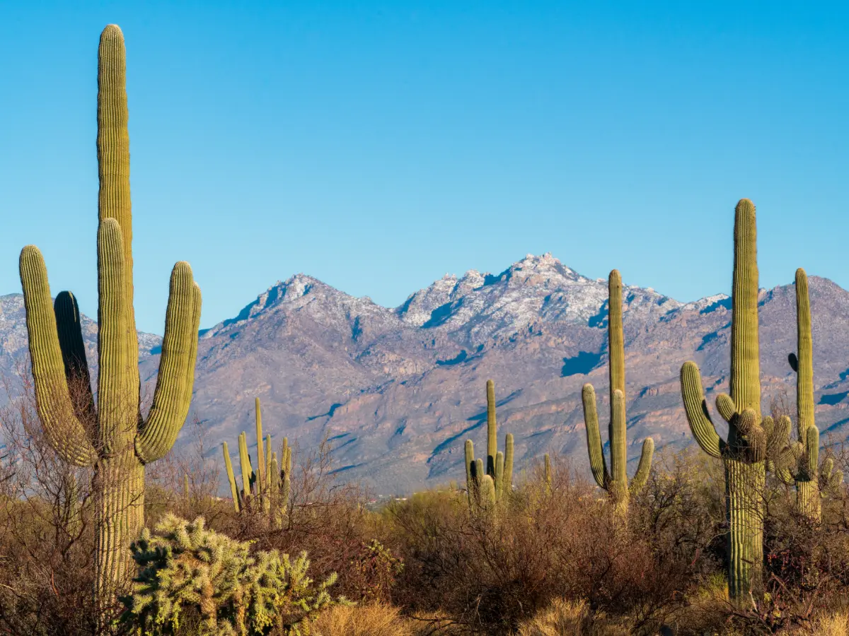 Tour parchi ovest USA: da Los Angeles al cuore del west 34 Tour parchi ovest USA da Los Angeles agenzia viaggi stati uniti
