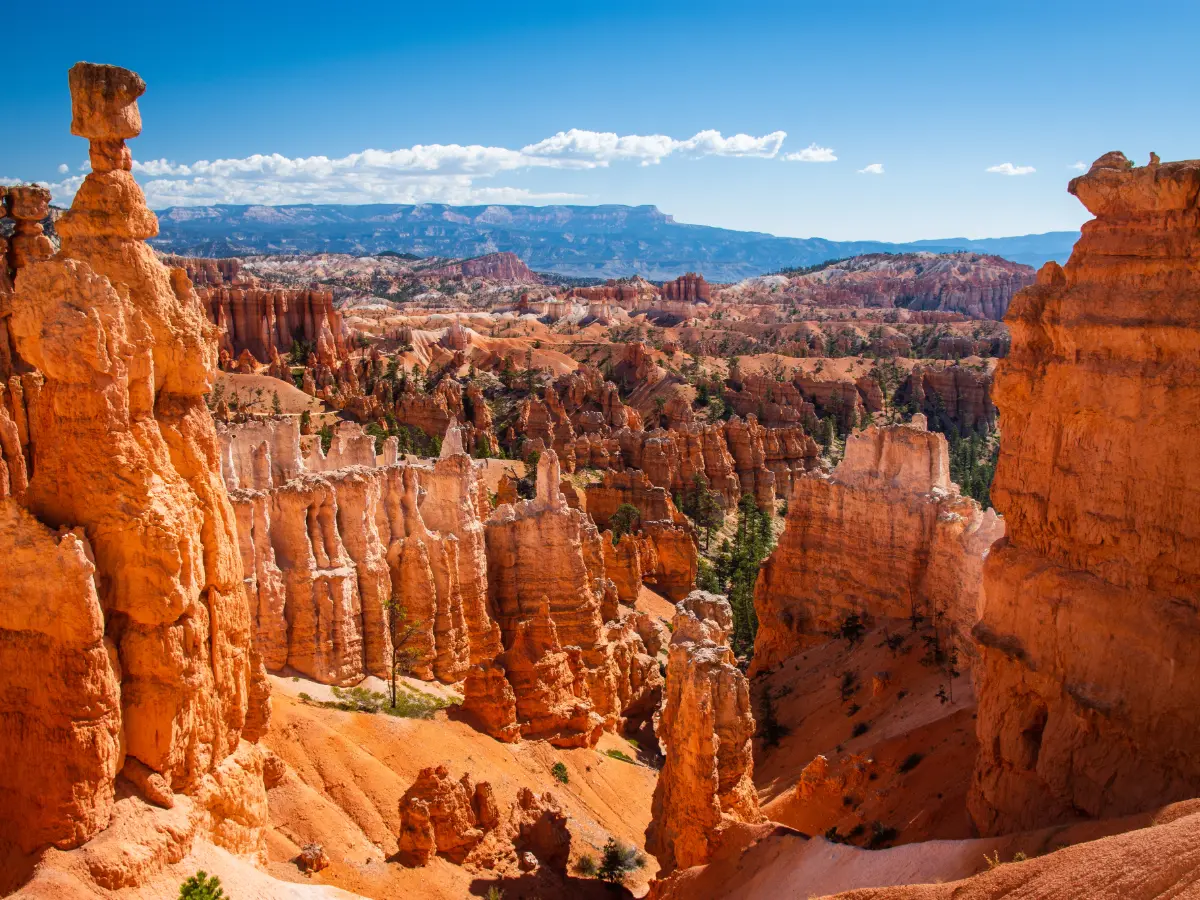 Tour parchi ovest USA: da Los Angeles al cuore del west 23 Tour parchi ovest USA da Los Angeles - viaggio su misura