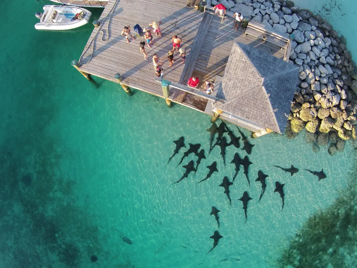 bahamas tour