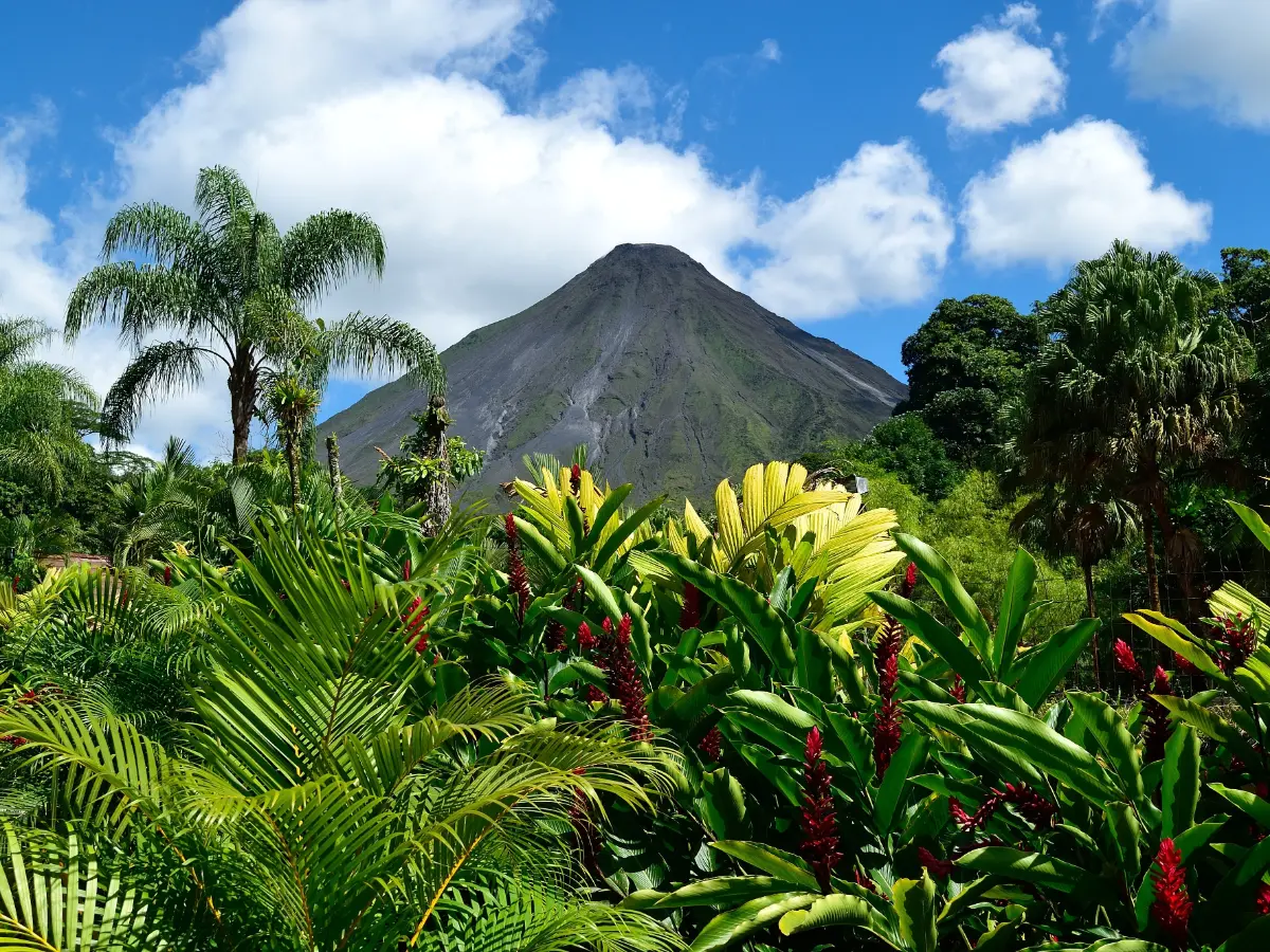 viaggio california e hawaii - viaggio di nozze