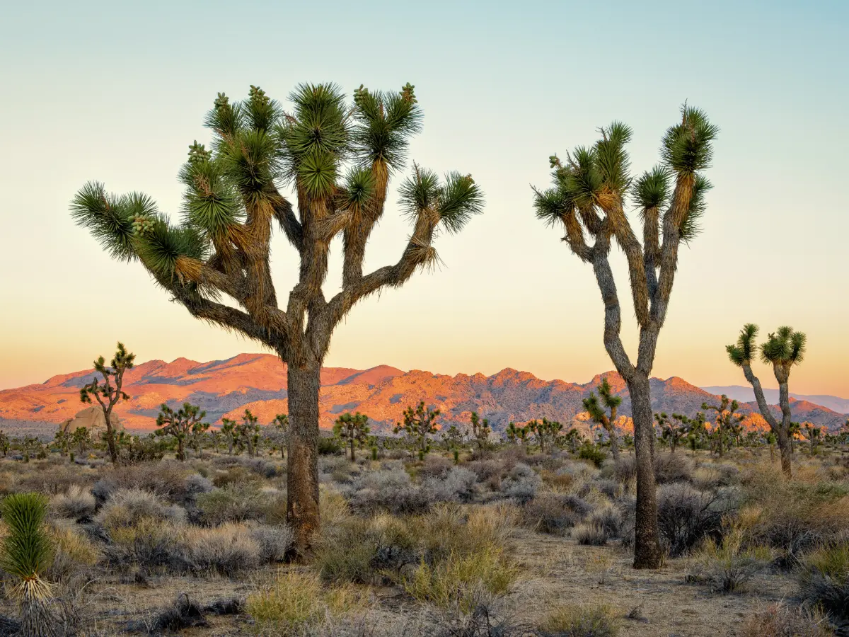 viaggio california e hawaii - viaggio su misura