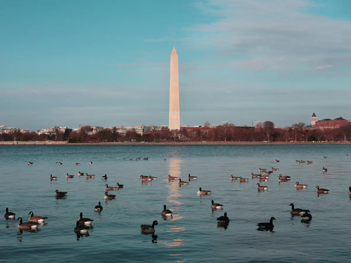 Cosa vedere a Washington DC in 4 giorni: guida e itinerario 13 washington dc national mall