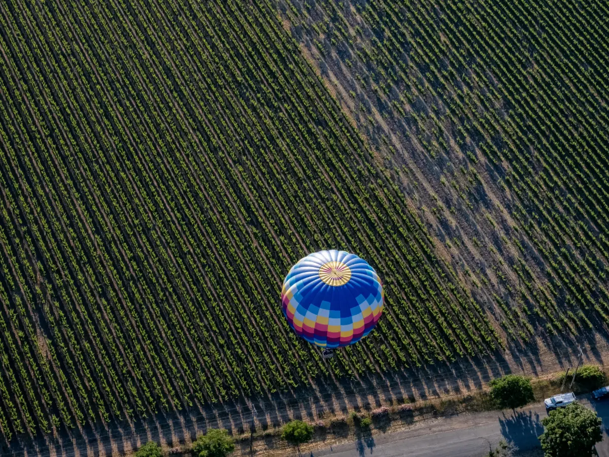 California on the road: viaggio da San Francisco a San Diego 13 California on the road - napa valley