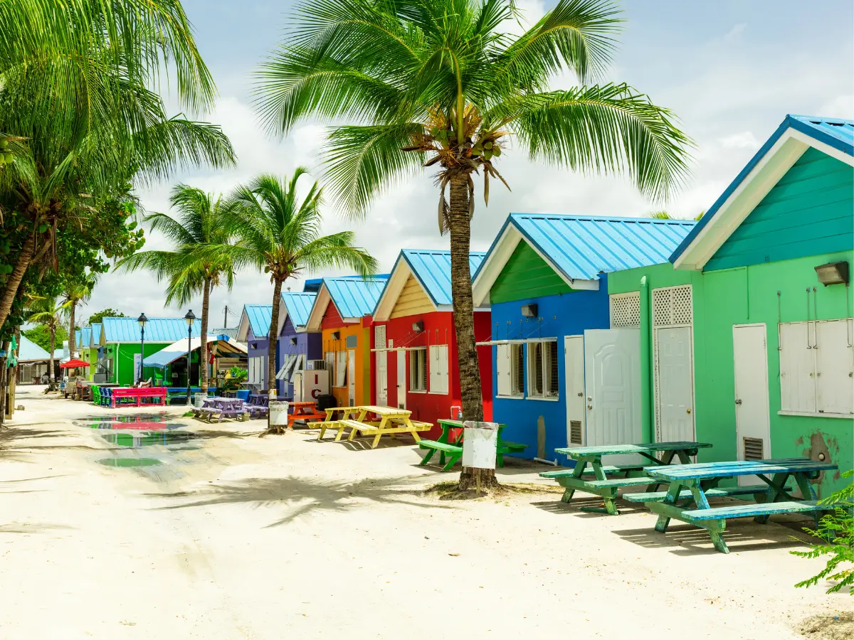 Barbados: un viaggio esclusivo nella piccola e accogliente isola dei Caraibi 9 cosa fare a barbados nei caraibi