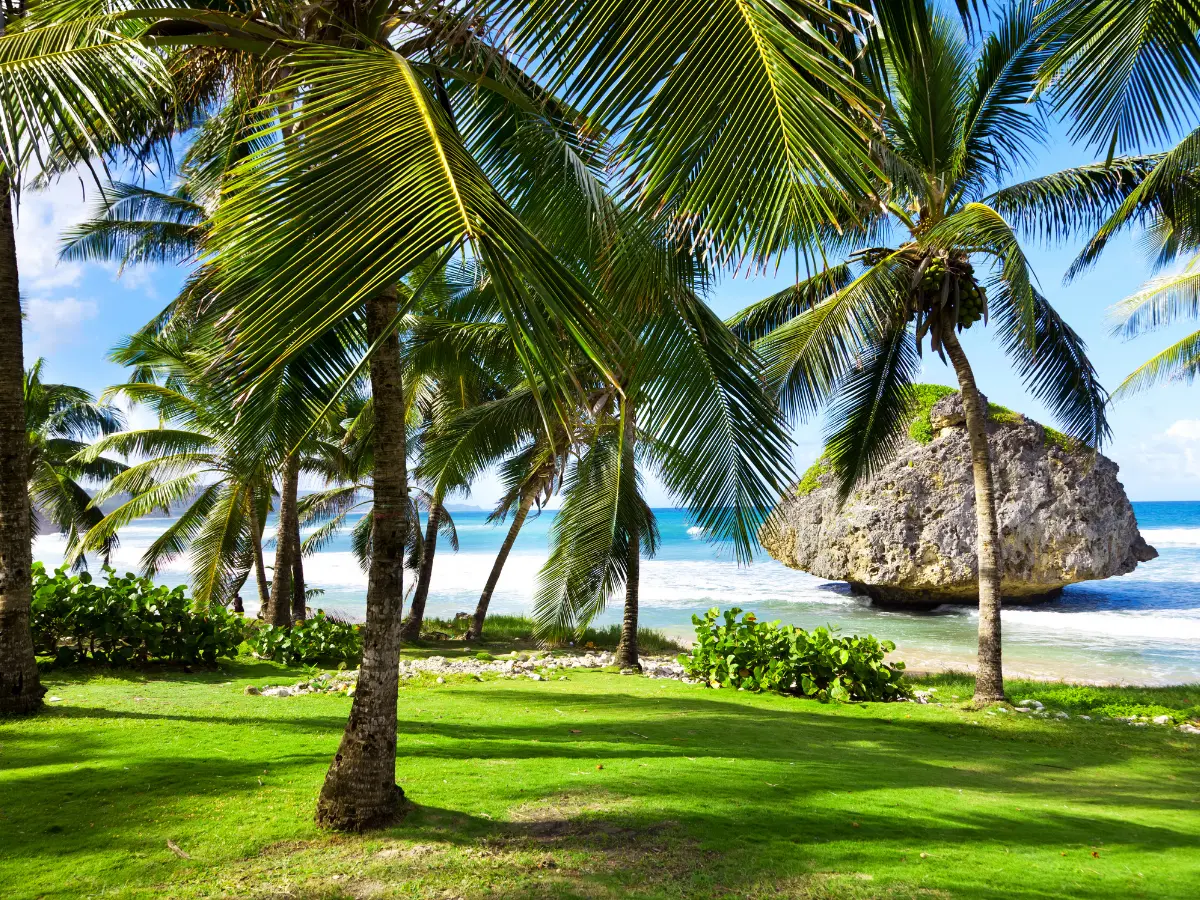 Barbados: un viaggio esclusivo nella piccola e accogliente isola dei Caraibi 11 esperienze da fare alle barbados nei caraibi