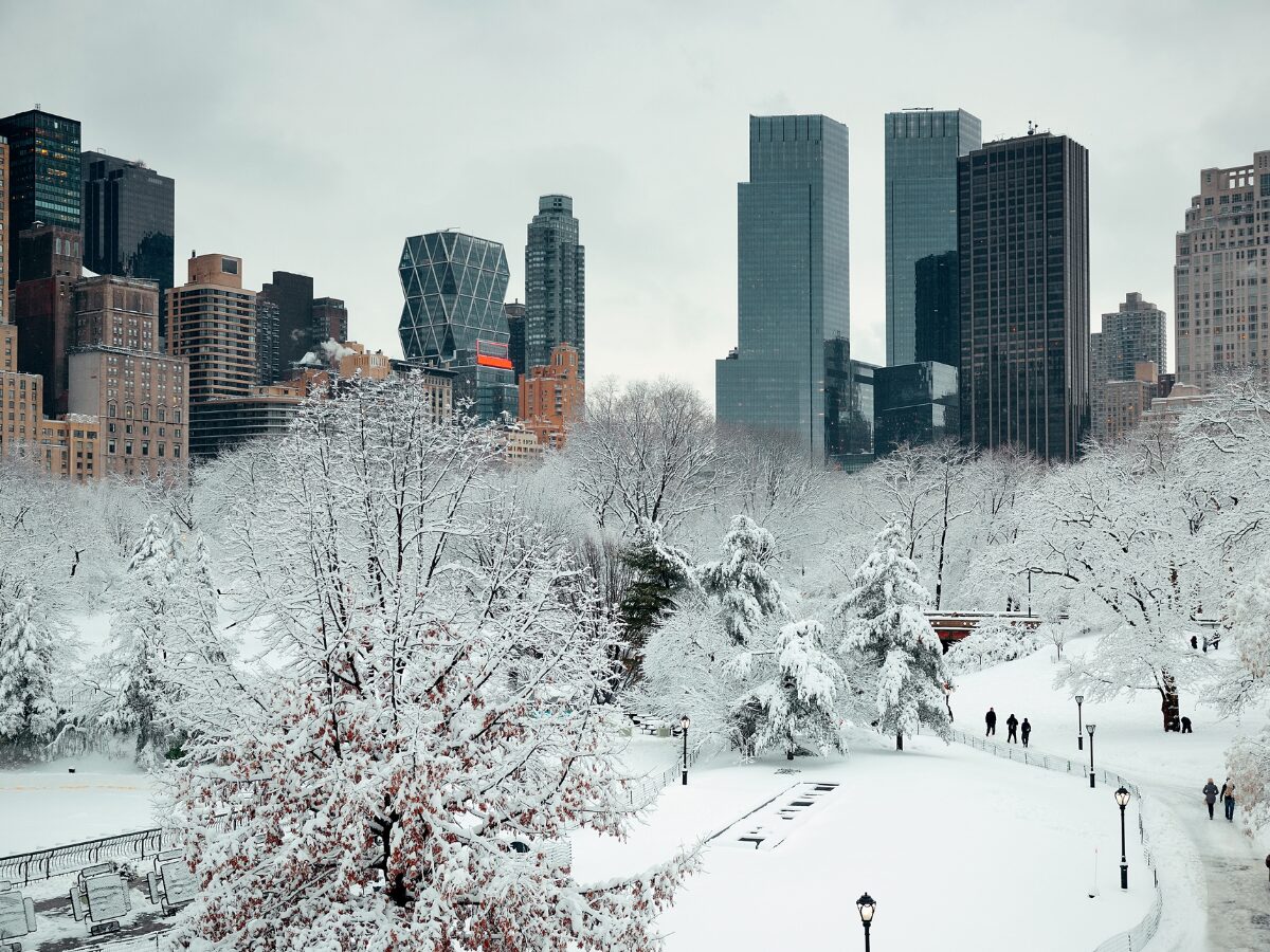 Feste di Natale e Capodanno a New York: esperienze imperdibili per il tuo inverno nella grande mela 13 neve a newyork dicembre