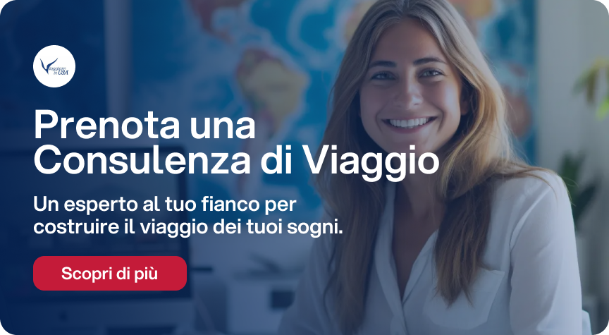 Feste di Natale e Capodanno a New York: esperienze imperdibili per il tuo inverno nella grande mela 22 consulenza di viaggio