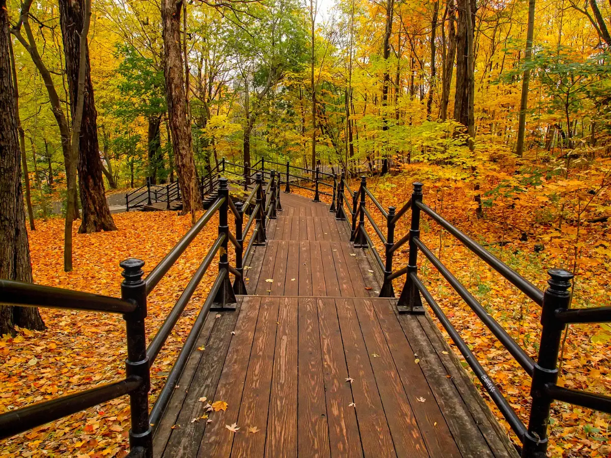 Foliage in Canada: dove andare in autunno per vedere il miglior foliage 14 parchi naturali con foliage in Canada