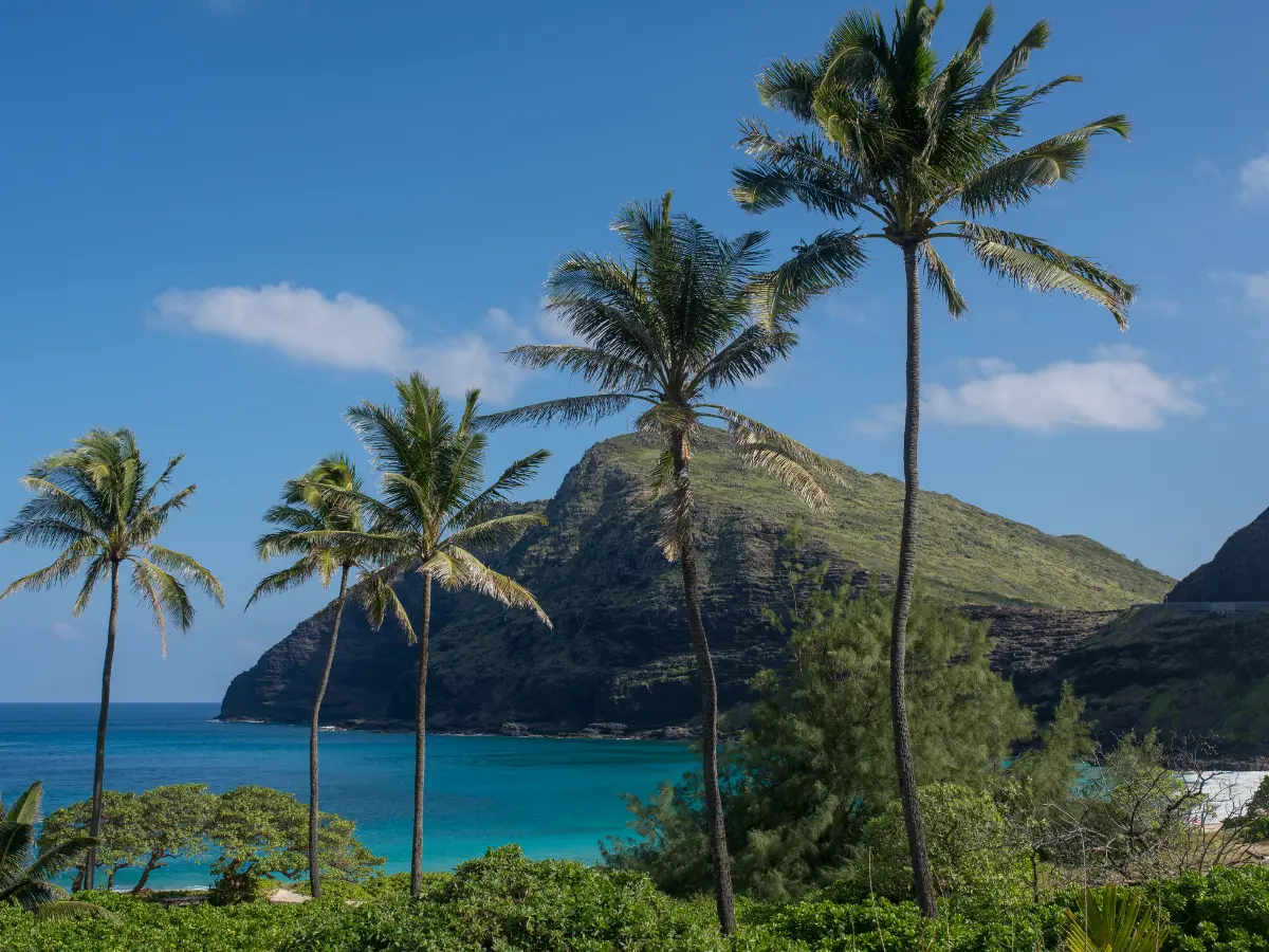 Natale e capodanno alle Hawaii: vacanze invernali da sogno 14 spiagge in inverno alle hawaii