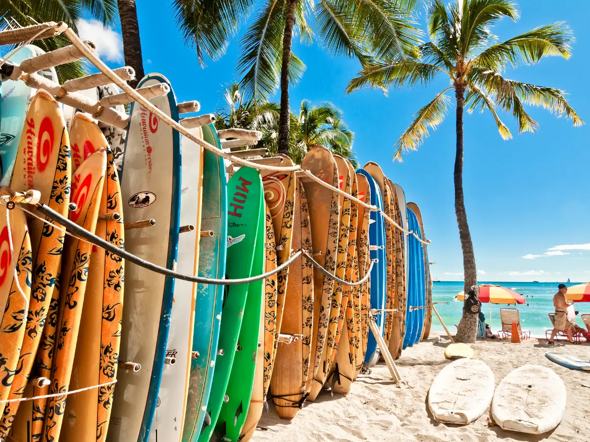 Natale e capodanno alle Hawaii: vacanze invernali da sogno 12 gara di surf per natale e capodanno alle Hawaii