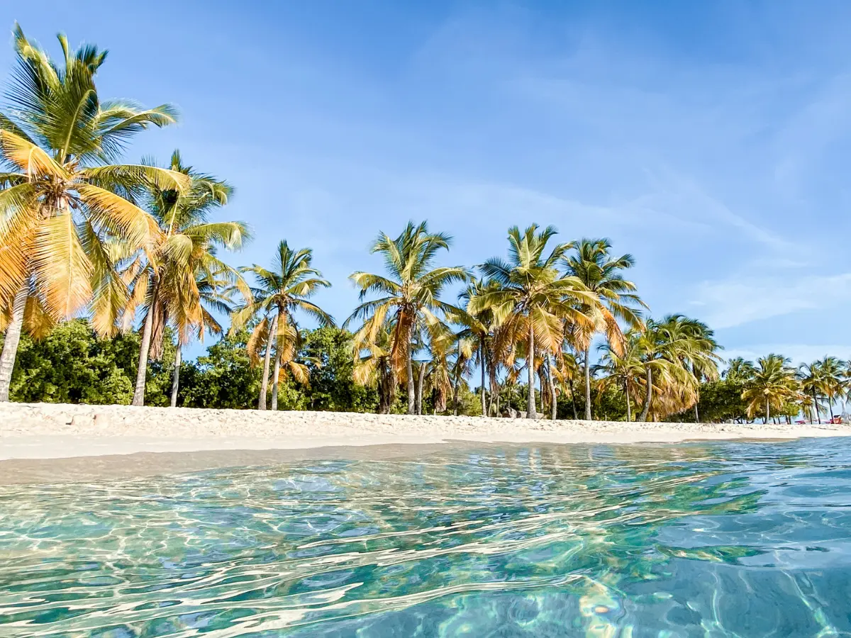 Isola di Anguilla: viaggio di lusso ai Caraibi 10 viaggio Anguilla Caraibi