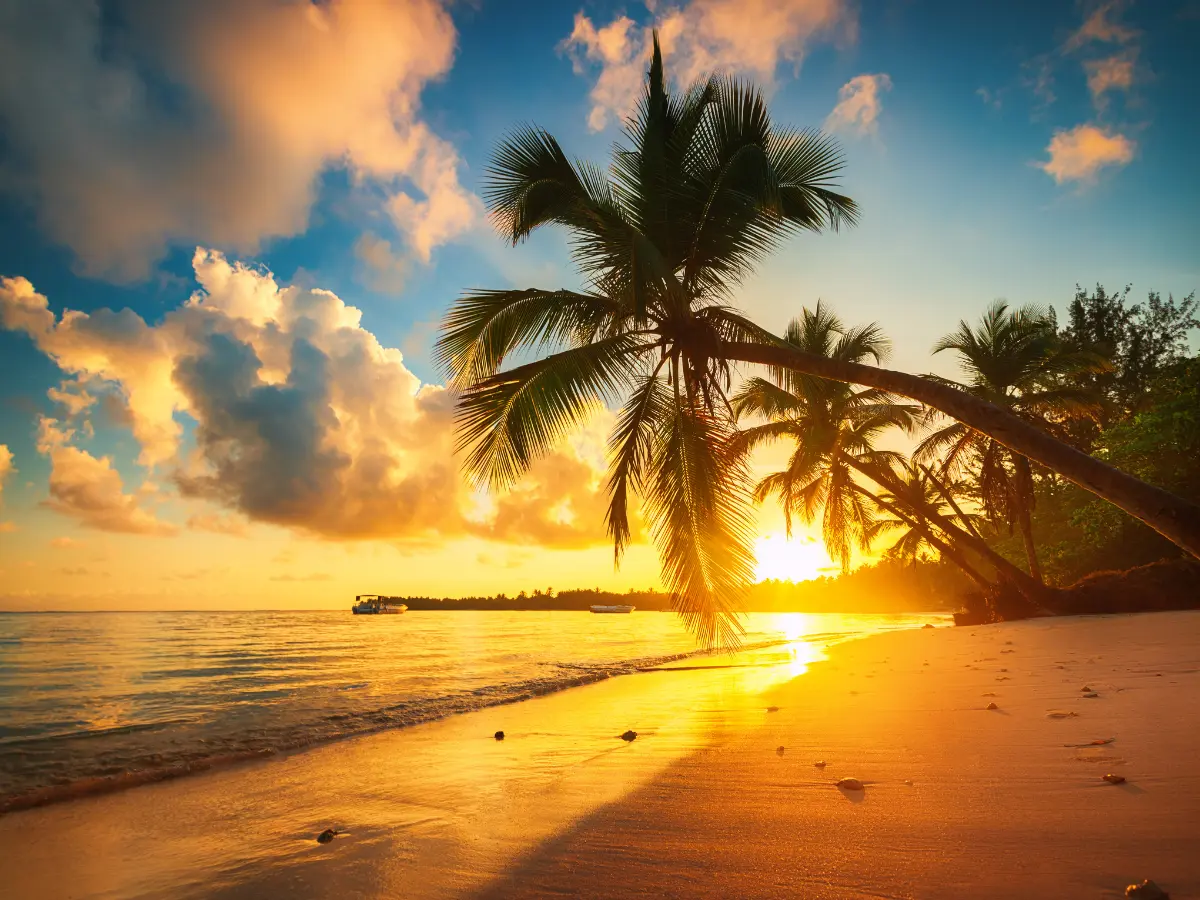 Repubblica Dominicana: un viaggio di lusso nei Caraibi 12 tour di viaggio esclusivo in repubblica dominicana
