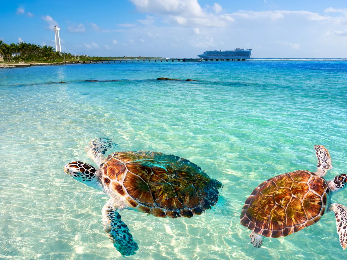 Viaggio di nozze ai Caraibi: le migliori destinazioni ed isole per le esperienze più romantiche 8 dove andare per un viaggio di nozze ai caraibi
