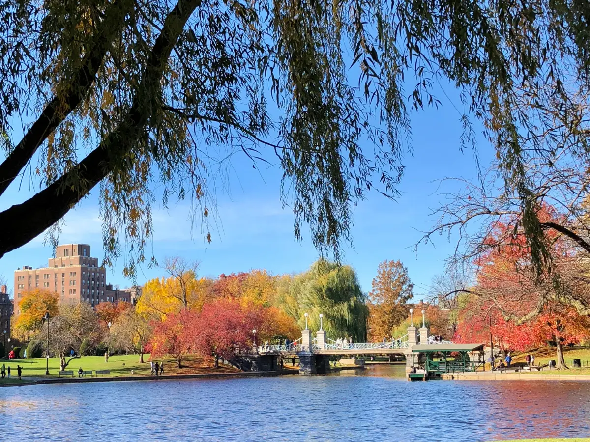 Boston: viaggio esclusivo nella capitale del Massachusetts 10 periodo migliore per un viaggio a boston