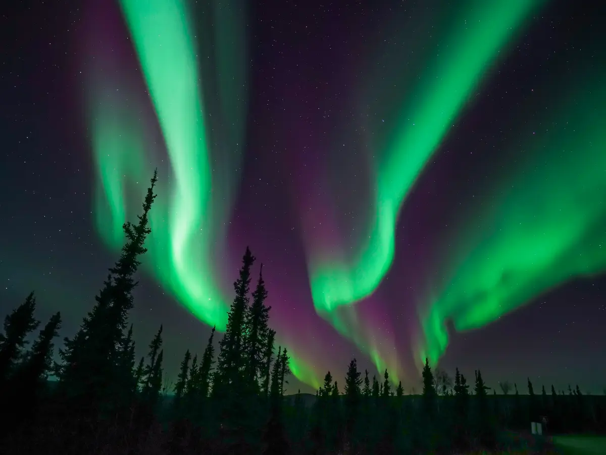 Alaska: esperienze esclusive tra ghiacci e natura incontaminata 12 viaggio di lusso in alaska con aurora boreale