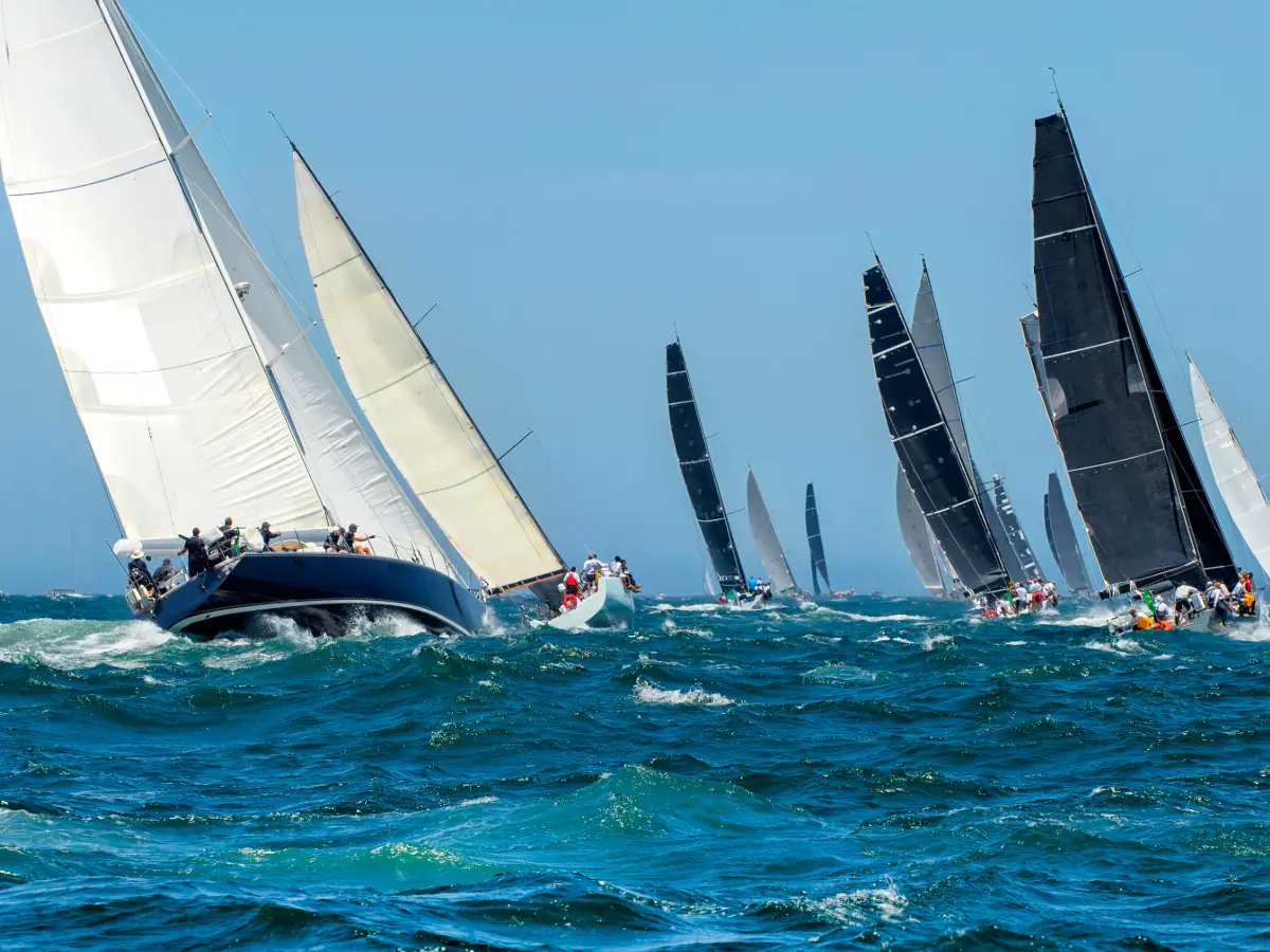 regata di saint barth