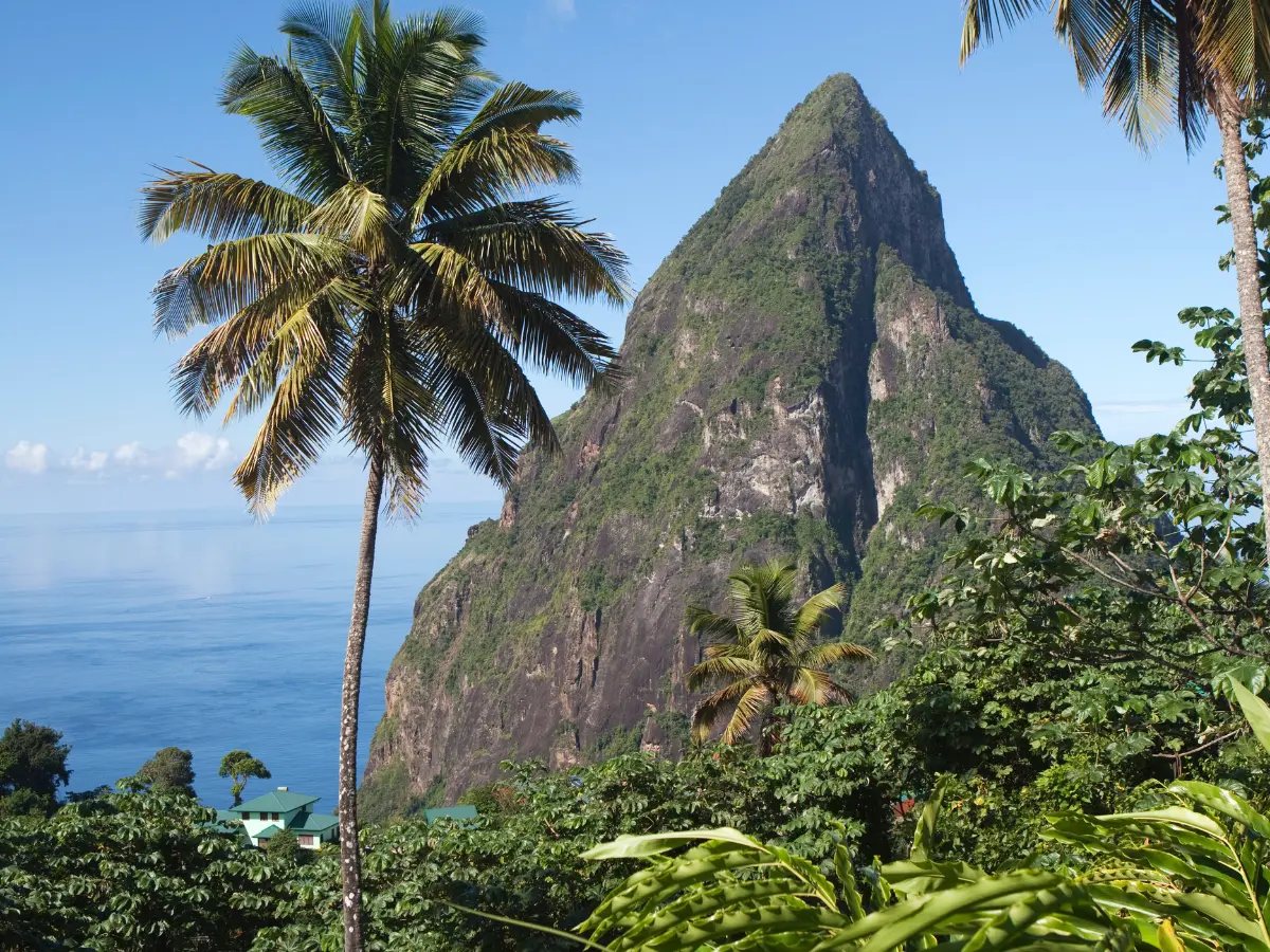 Saint Lucia: viaggio di lusso nei Caraibi 12 foresta pluviale di saint lucia caraibi