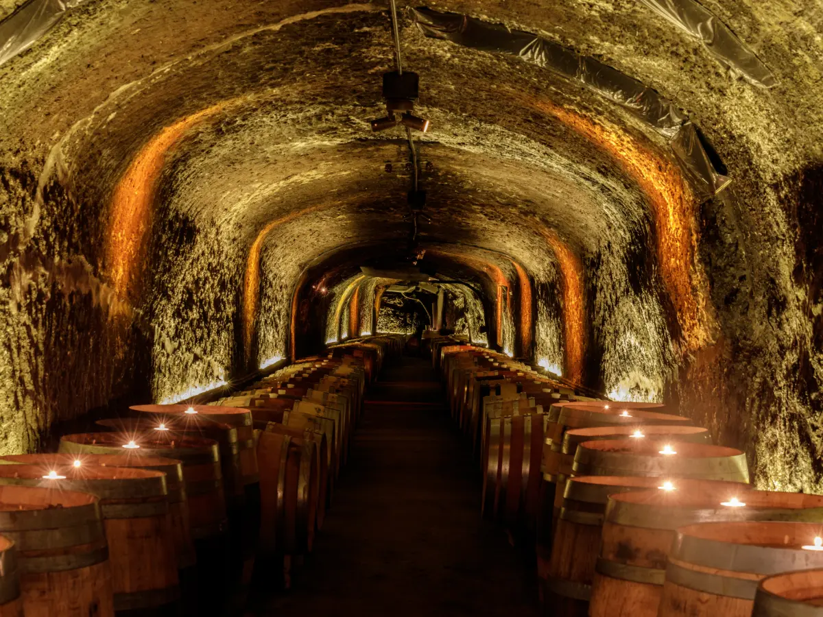 Napa Valley e Sonoma: differenze, quando andare e come inserirle in un viaggio in California 13 napa valley e sonoma viaggio su misura