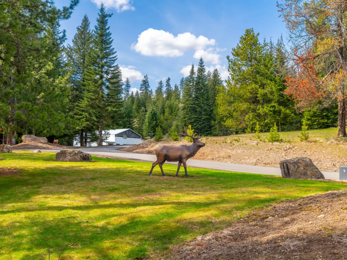 Luxury ranch negli Stati Uniti: come scegliere un soggiorno di alto livello nel West 9 ranch di lusso usa viaggio su misura