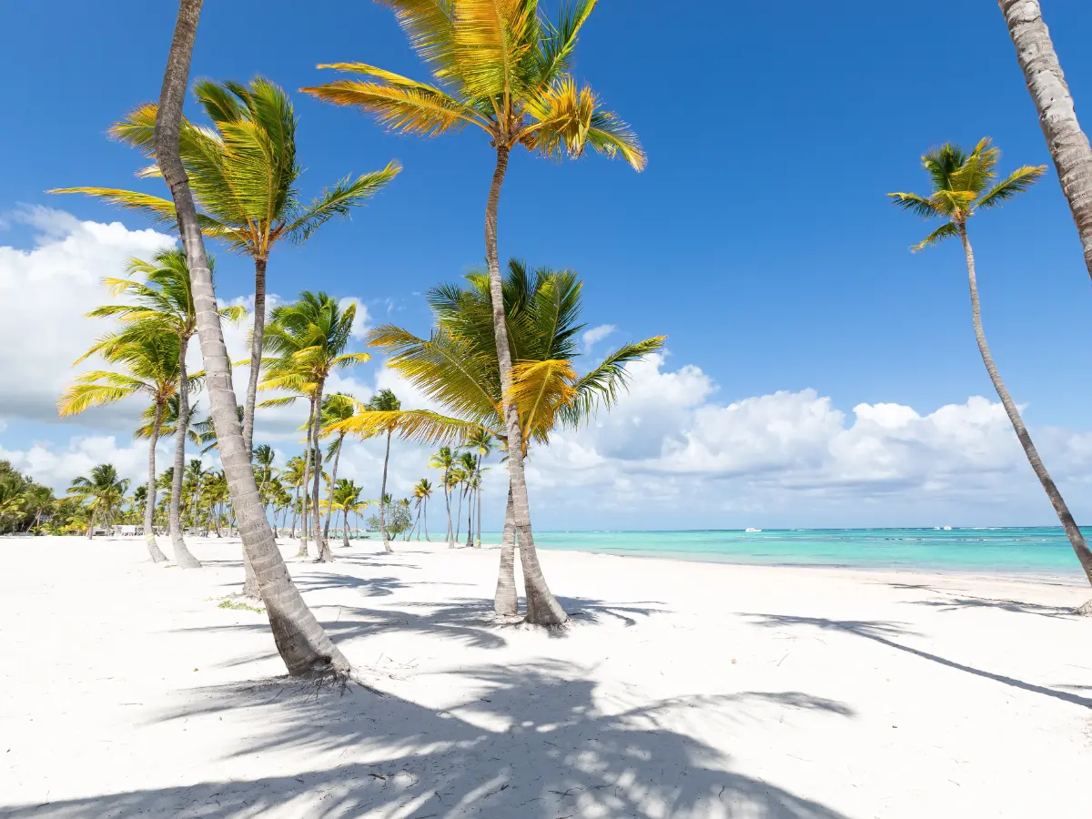 Cap Cana: ville private, resort e servizi su misura nella zona più esclusiva di Punta Cana 9 cap cana agenzia viaggio lusso